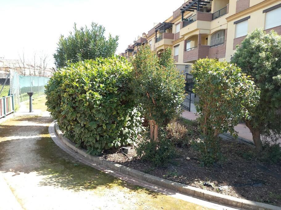 Ferienwohnung El Nido Del Nomada Atarfe Exterior foto